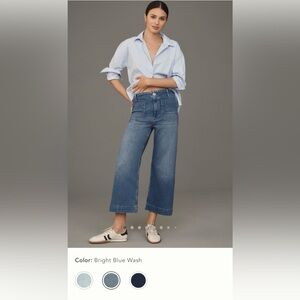 Anthropologie Colette Crop Wide Leg Pant